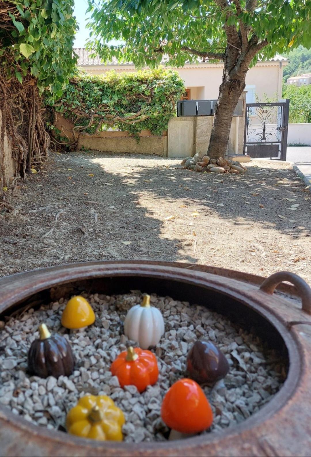 Souvenirs De Provence, Charmant Appartement Neuf 3 Etoiles Digne-les-Bains Buitenkant foto